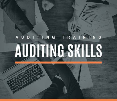 auditing skills training